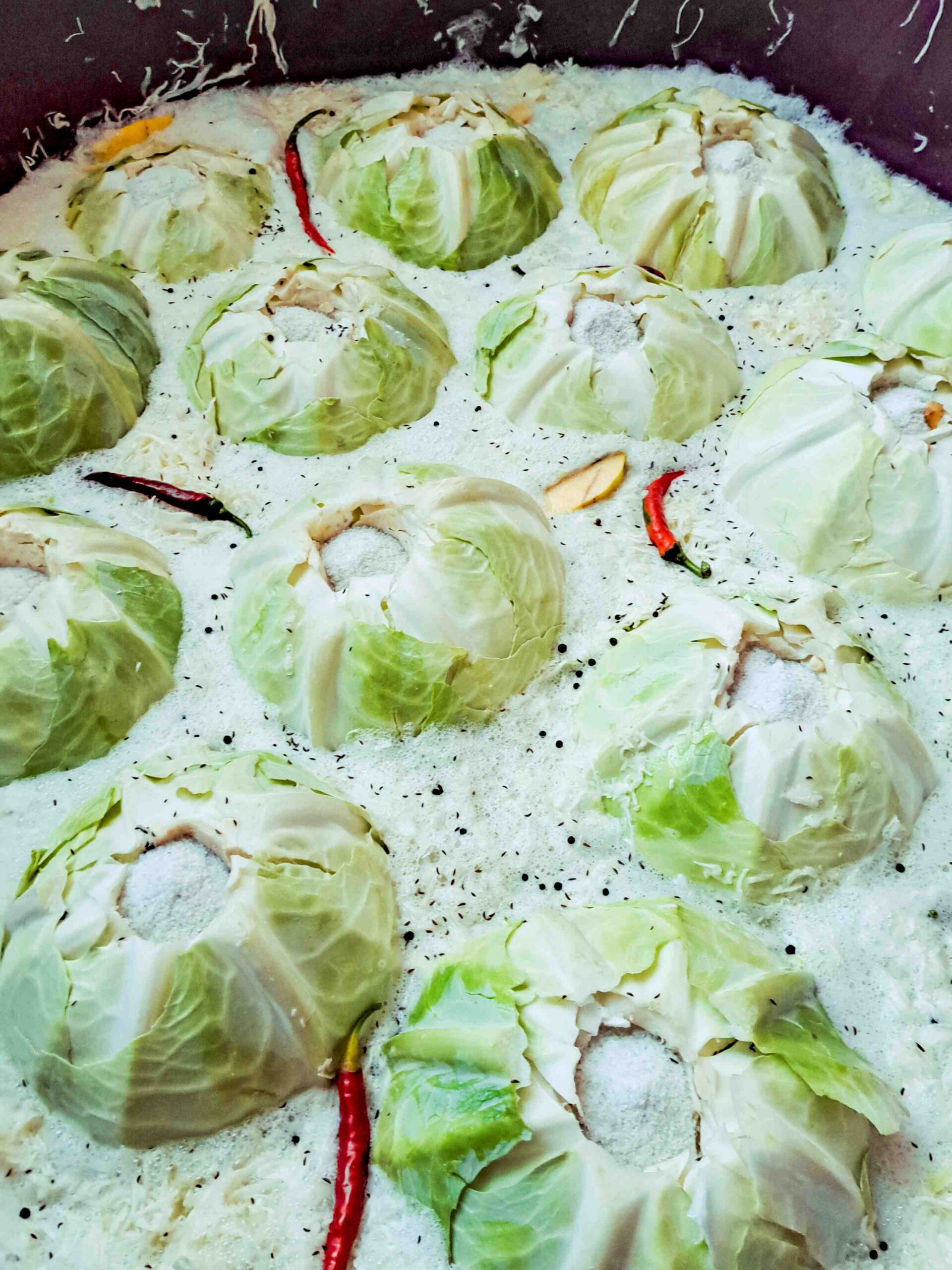 Savanyúkáposzta – a hagyomány becsületes íze - Image 5