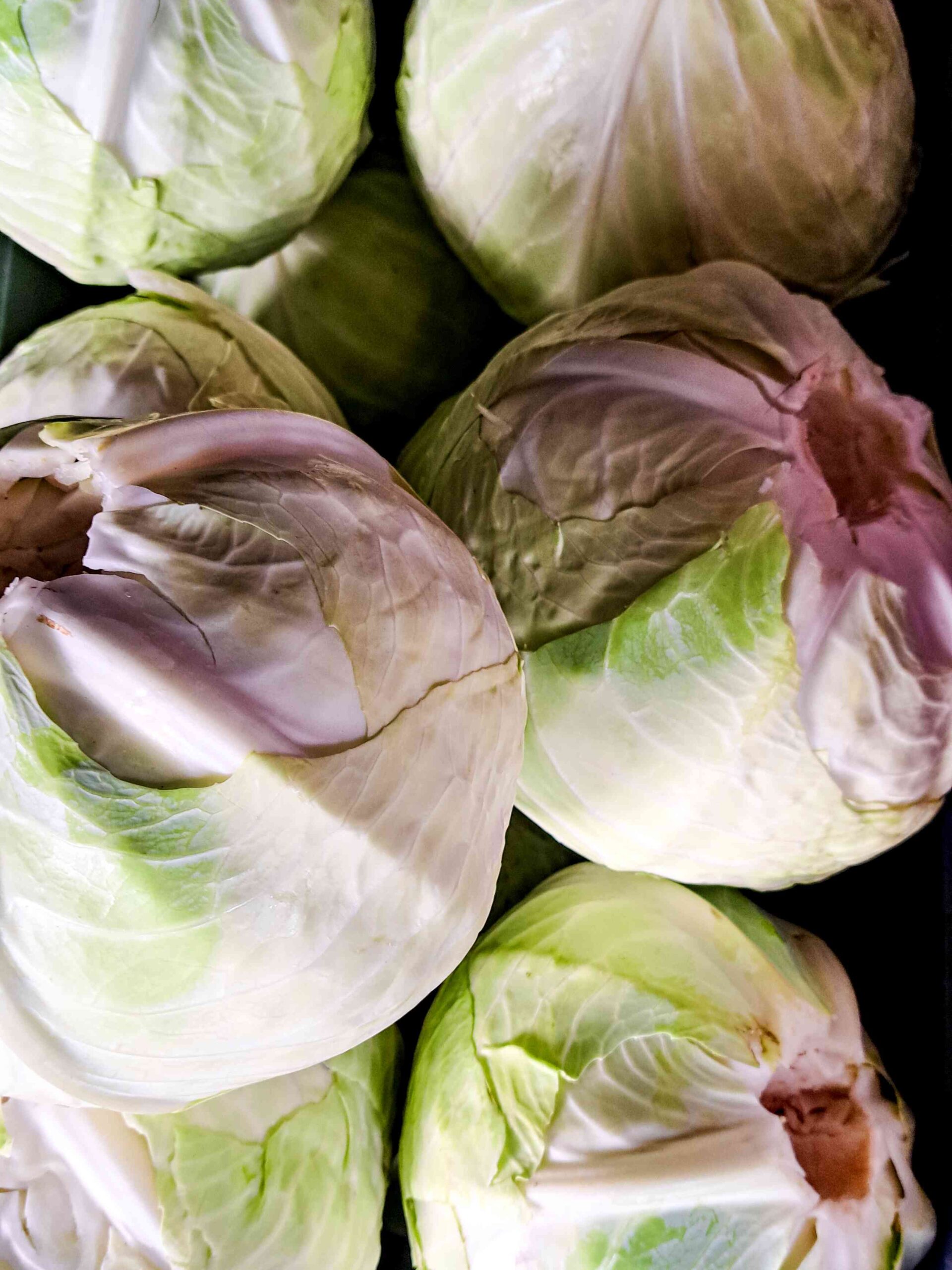 Savanyúkáposzta – a hagyomány becsületes íze - Image 3