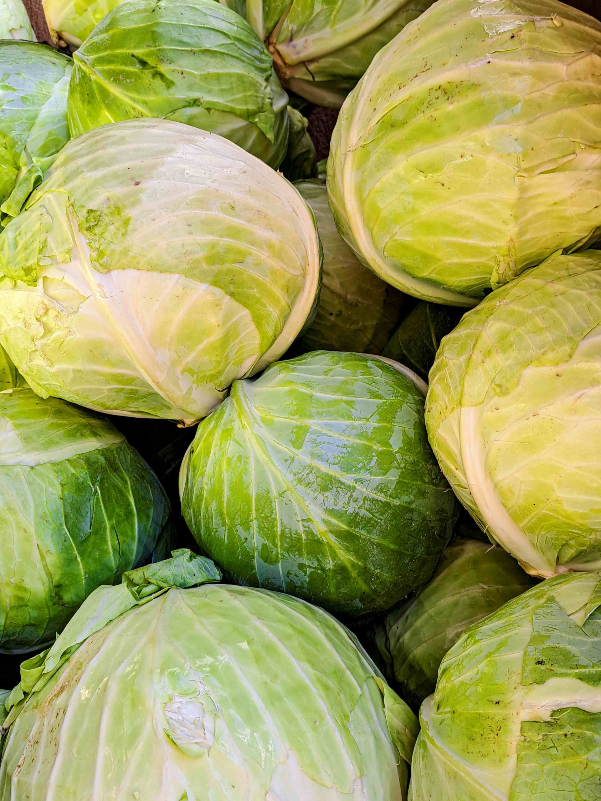 Savanyúkáposzta – a hagyomány becsületes íze - Image 8