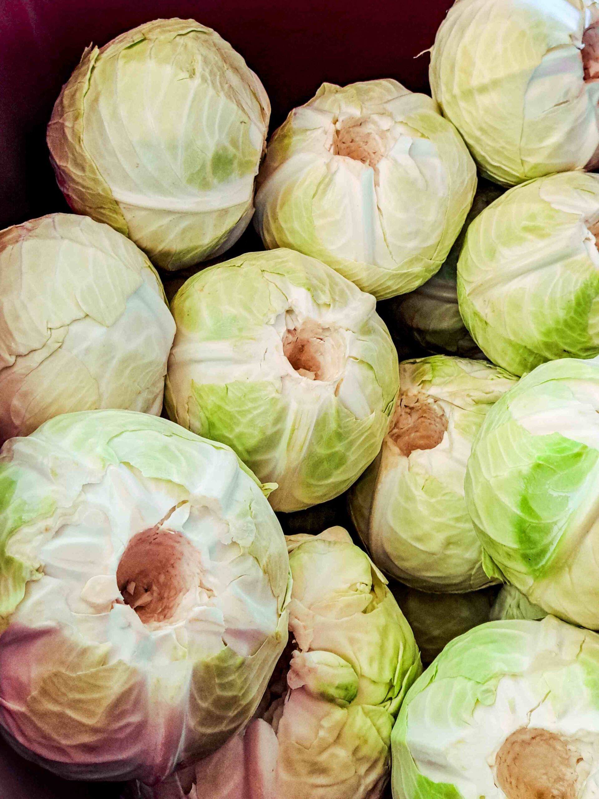 Savanyúkáposzta – a hagyomány becsületes íze - Image 7